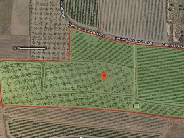 Terreno en venta en Cecilia Bartolomé (Mujeres Libres), l'Alt Vinalopó / El Alto Vinalopó