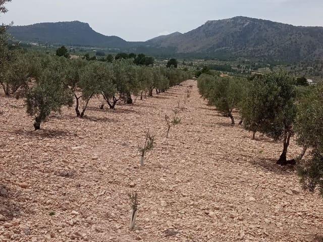 Terreno en venta en Cecilia Bartolomé (Mujeres Libres), l'Alt Vinalopó / El Alto Vinalopó