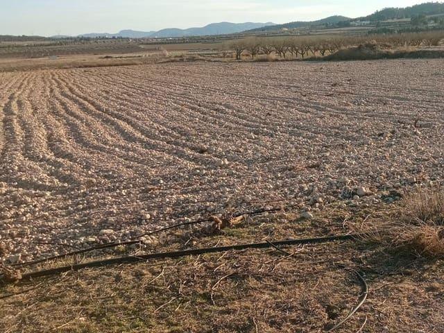 Terreno en venta en Cecilia Bartolomé (Mujeres Libres), Salinas