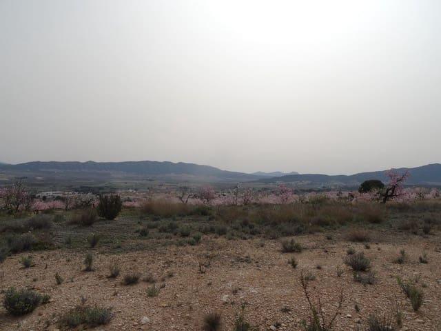 Terreno en venta en Cecilia Bartolomé (Mujeres Libres), l'Alt Vinalopó / El Alto Vinalopó