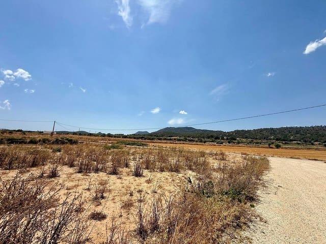 Terreno en venta en Cecilia Bartolomé (Mujeres Libres), l'Alt Vinalopó / El Alto Vinalopó