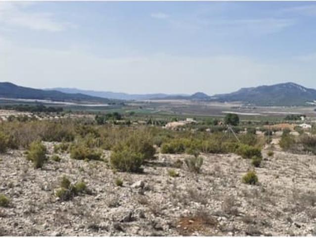 Terreno en venta en Cecilia Bartolomé (Mujeres Libres), l'Alt Vinalopó / El Alto Vinalopó