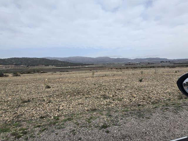 Terreno en venta en Cecilia Bartolomé (Mujeres Libres), l'Alt Vinalopó / El Alto Vinalopó