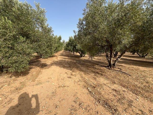 Terreno en venta en Cecilia Bartolomé (Mujeres Libres), Salinas