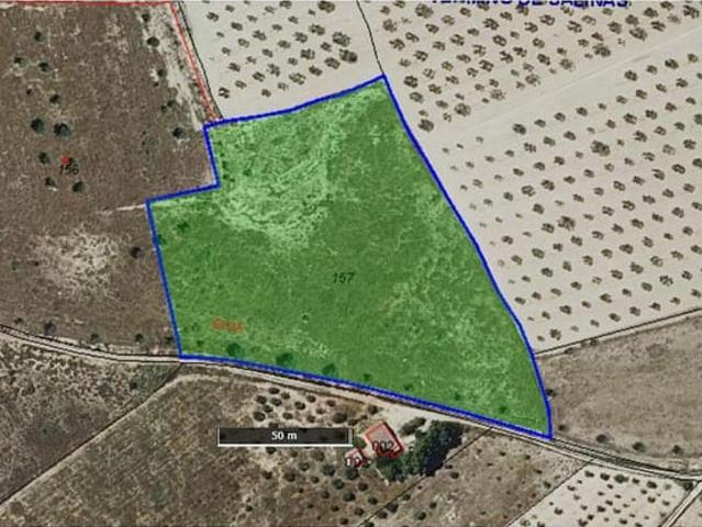 Terreno en venta en Cecilia Bartolomé (Mujeres Libres), l'Alt Vinalopó / El Alto Vinalopó