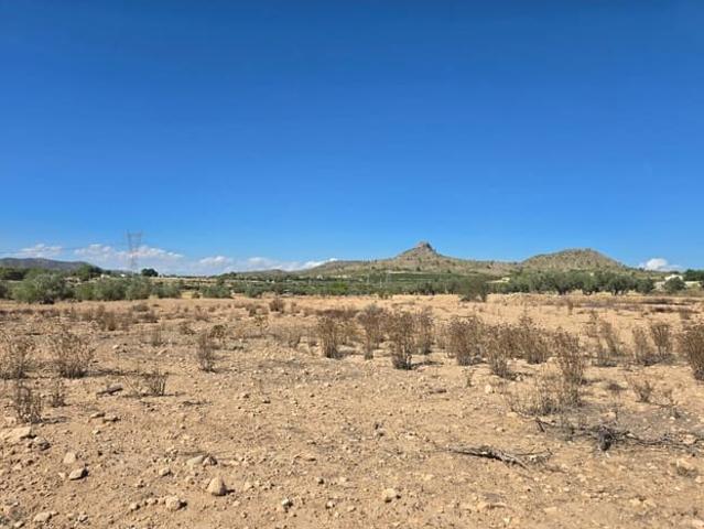 Terreno en venta en Cecilia Bartolomé (Mujeres Libres), l'Alt Vinalopó / El Alto Vinalopó