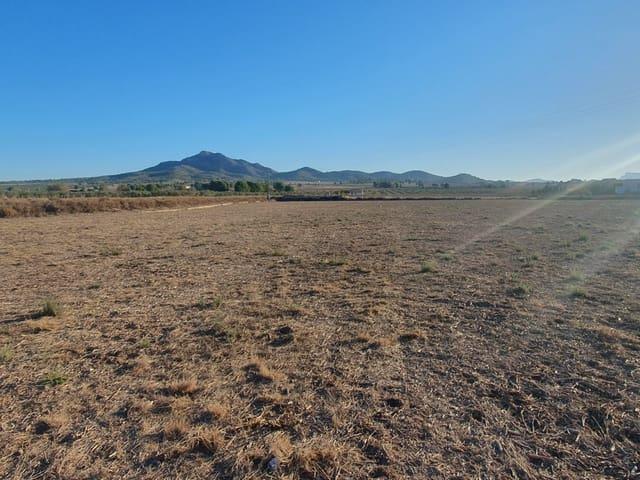 Terreno en venta en Cecilia Bartolomé (Mujeres Libres), l'Alt Vinalopó / El Alto Vinalopó