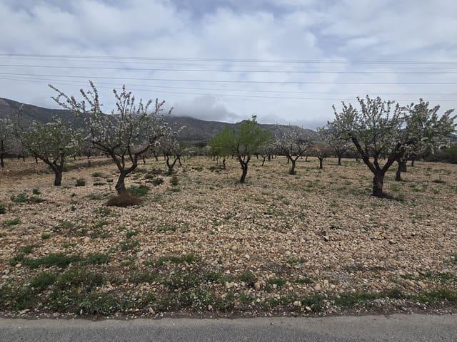 Terreno en venta en Cecilia Bartolomé (Mujeres Libres), l'Alt Vinalopó / El Alto Vinalopó