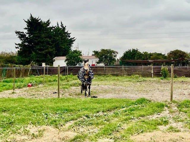 Terreno en venta en San Enrique de Guadiaro, Campo de Gibraltar