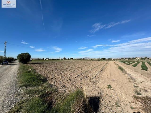 Terreno en venta en el Baix Segura / La Vega Baja, Valencia