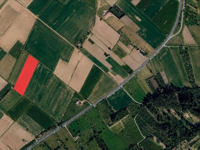 Terreno en venta en Pla de Mallorca, Baleares