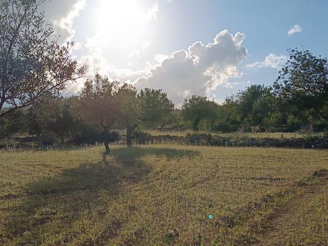 Terreno en venta en el Baix Maestrat, Valencia