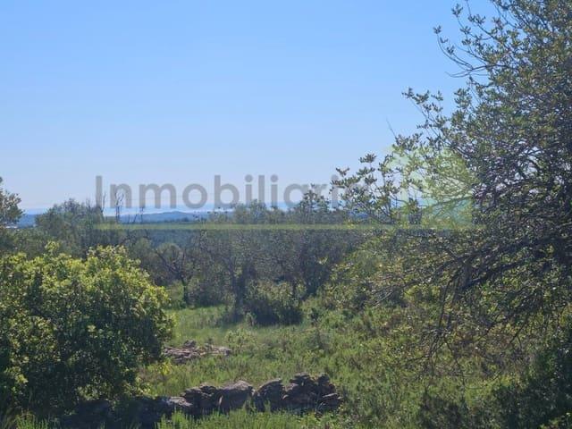 Terreno en venta en el Baix Maestrat, Valencia