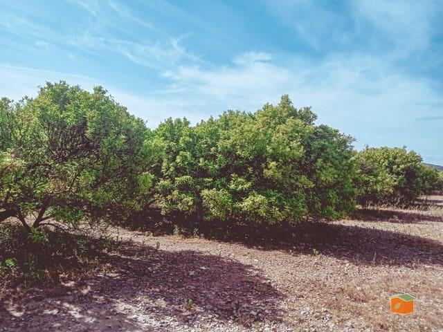 Terreno en venta en Santa Bàrbara, Tarragona