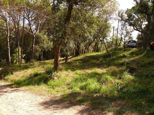 Terreno en venta en Santa Cristina d'Aro, Girona