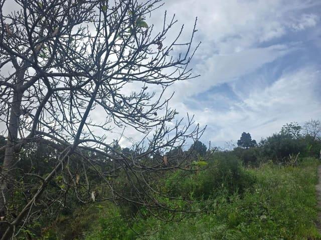Terreno en venta en Santa Cruz De Tenerife, Canarias