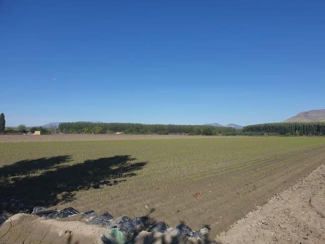 Terreno en venta en Comarca de la Vega de Granada, Andalucía