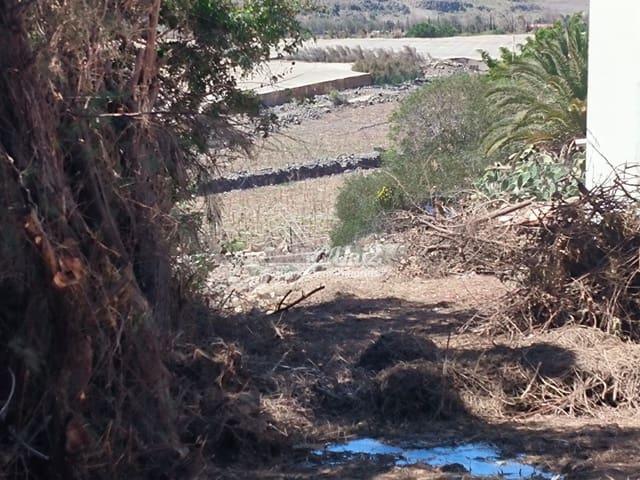 Terreno en venta en Tenerife, Hoya del Pajar