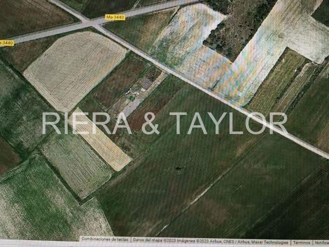 Terreno en venta en Santa Margalida