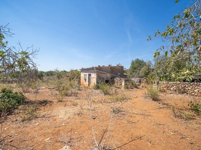 Terreno en venta en Santa Margalida