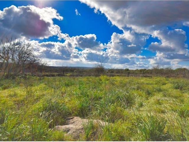 Terreno en venta en Santa Margalida