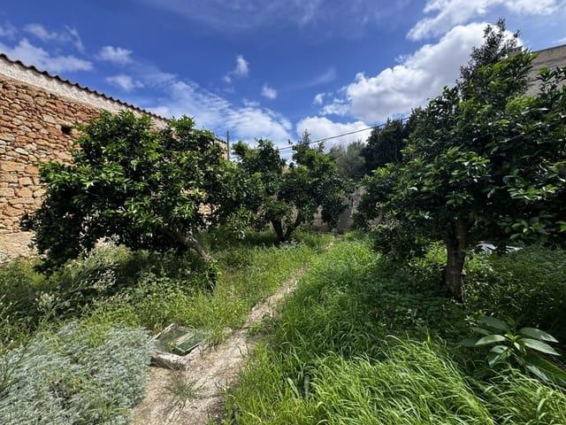 Terreno en venta en Santa Margalida