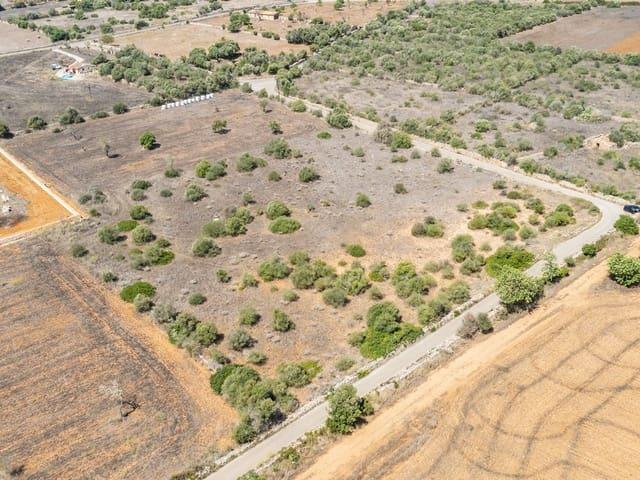 Terreno en venta en Migjorn, Baleares