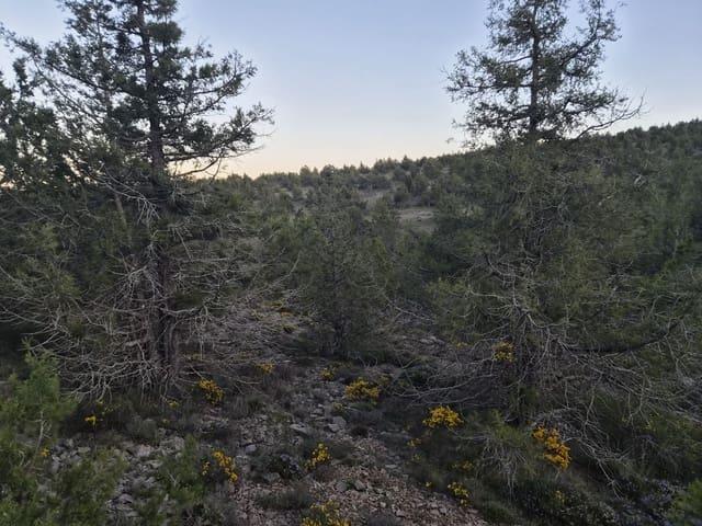 Terreno en venta en Gúdar-Javalambre, Aragón