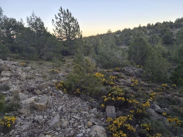 Terreno en venta en Gúdar-Javalambre, Aragón