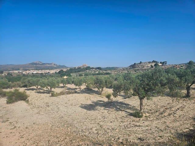 Terreno en venta en l'Alt Vinalopó / El Alto Vinalopó, Valencia