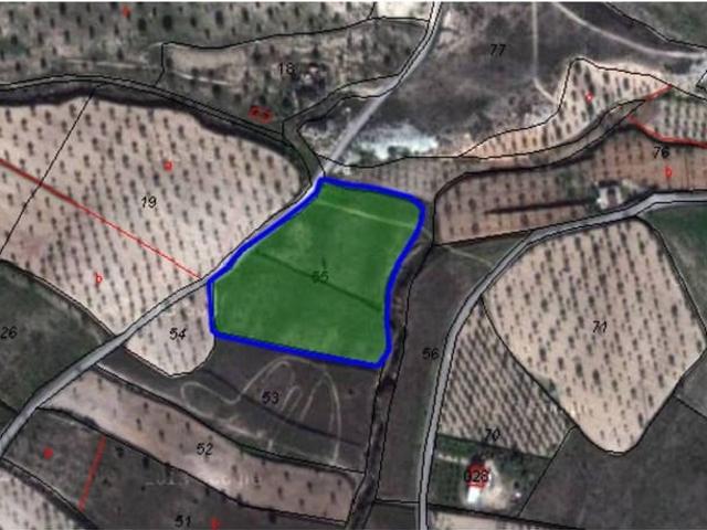 Terreno en venta en l'Alt Vinalopó / El Alto Vinalopó, Valencia