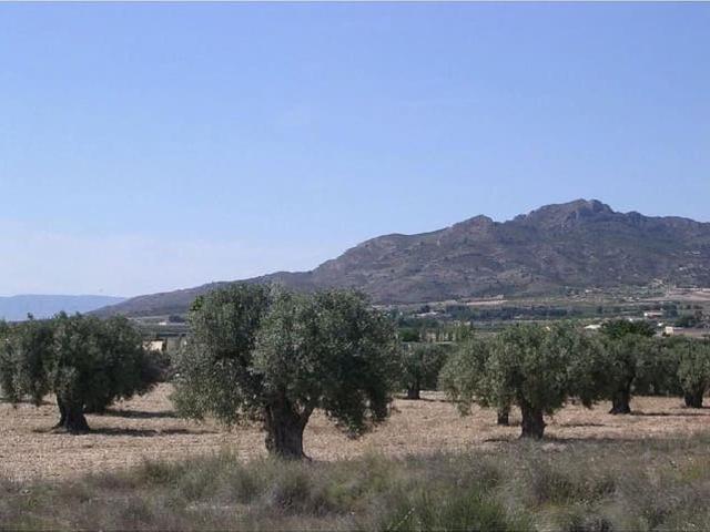 Terreno en venta en l'Alt Vinalopó / El Alto Vinalopó, Valencia