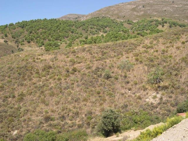 Terreno en venta en Sedella Terreno en venta en Sedella