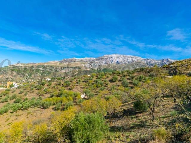 Terreno en venta en Sedella Terreno en venta en Sedella