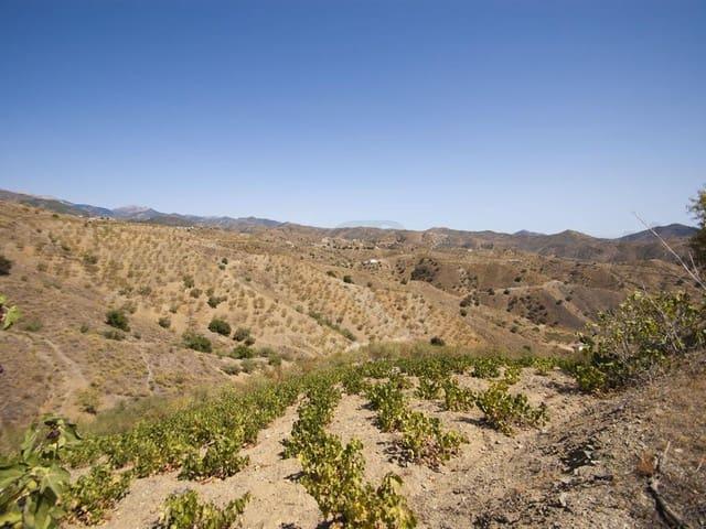 Terreno en venta en Sedella Terreno en venta en Sedella