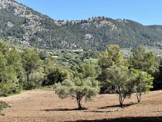 Terreno en venta en Selva, Camarata Terreno en venta en Selva, Camarata