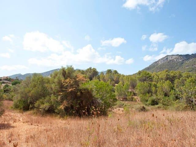 Terreno en venta en Selva, Camarata Terreno en venta en Selva, Camarata