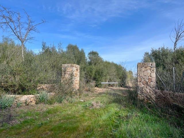 Terreno en venta en Biniali, Pla de Mallorca