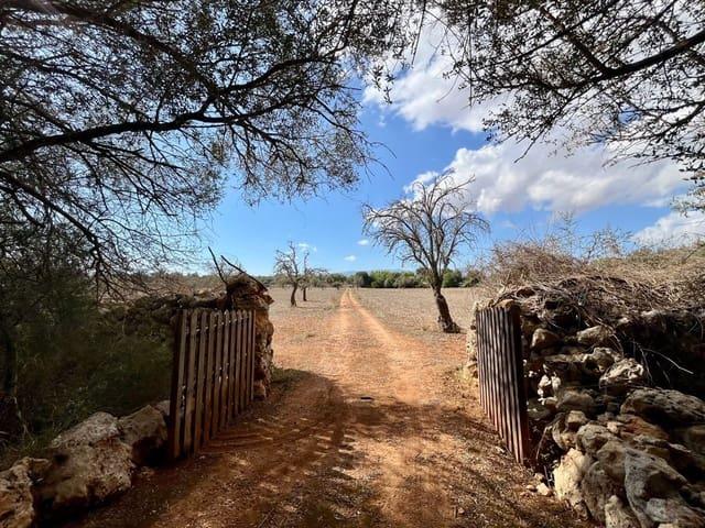 Terreno en venta en Sencelles, Biniali