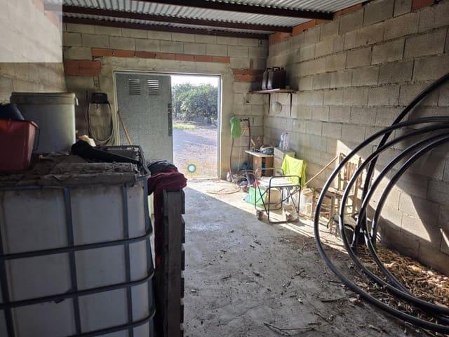 Terreno en venta en la Ribera Alta, Valencia