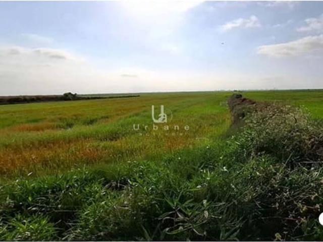 Terreno en venta en l'Horta Sud, Valencia