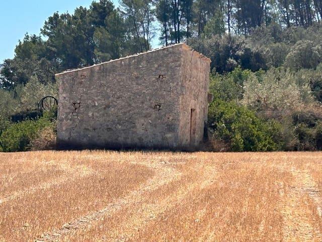 Terreno en venta en Sineu