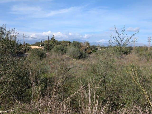 Terreno en venta en Pla de Mallorca, Baleares