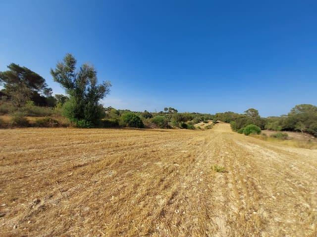 Terreno en venta en Pla de Mallorca, Baleares