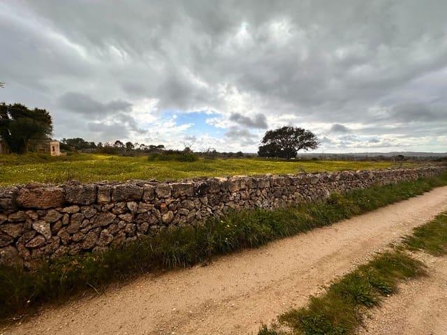 Terreno en venta en Sineu