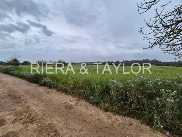 Terreno en venta en Sineu