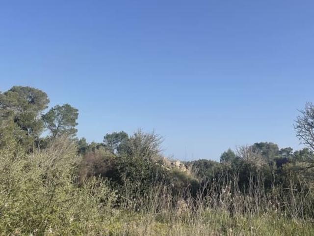 Terreno en venta en Son Carrió, Llevant