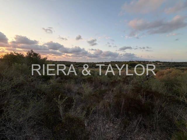 Terreno en venta en Son Carrió, Llevant