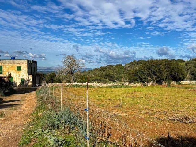 Terreno en venta en Santa Margalida, Pla de Mallorca