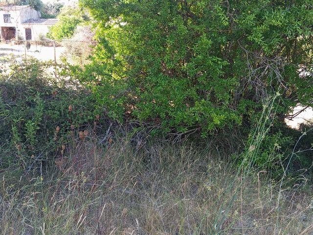 Terreno en venta en Son Servera, Illes Balears
